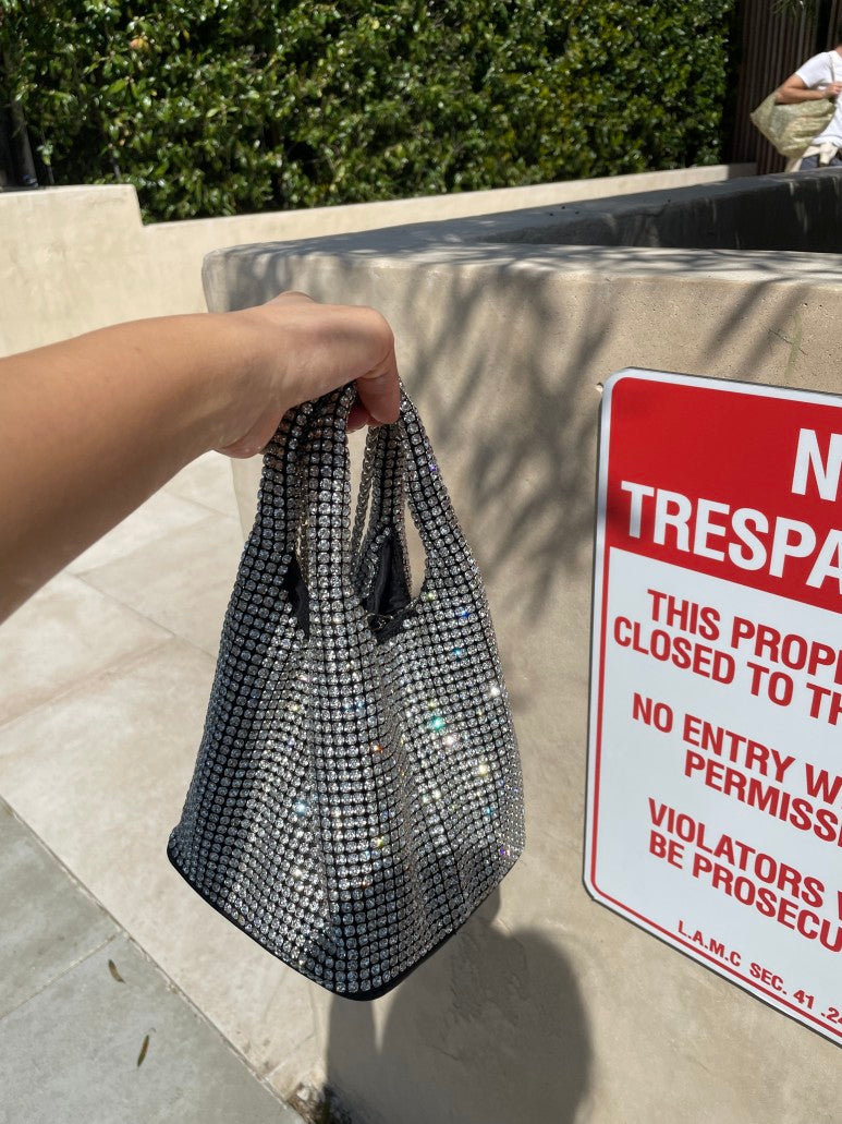 Rhinestone Dumpling Purse 2 Colors