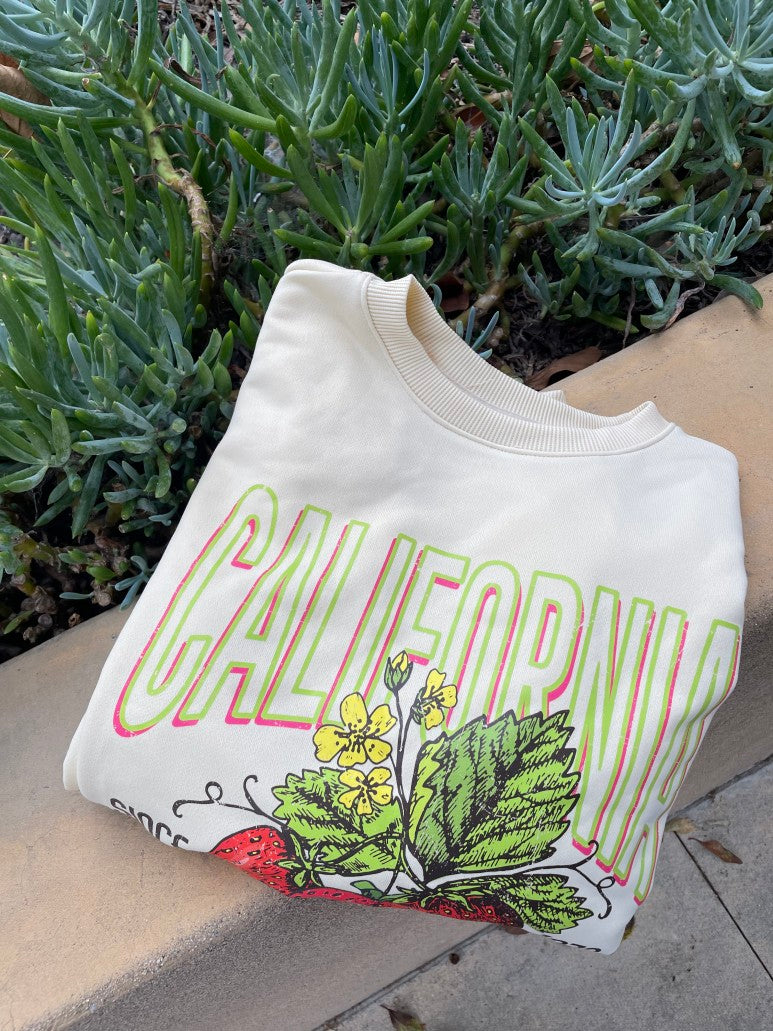 Cute♥ California Fresh Sweatshirts 2 Colors