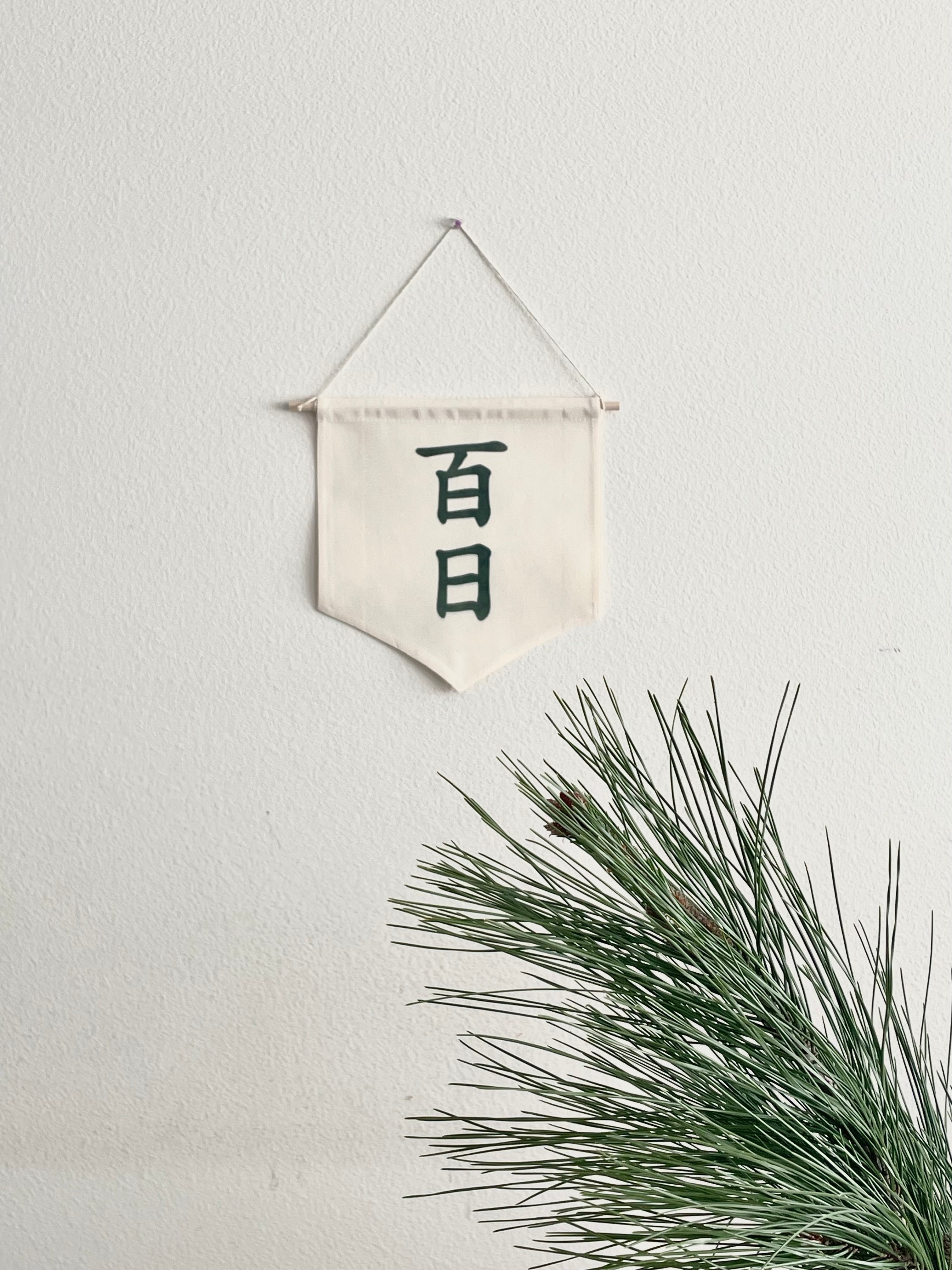 Korean Baekil 100 Days Banner, Baby 100th Day Party Decoration, Canvas Wall Hanging Flag for Korean First Celebration