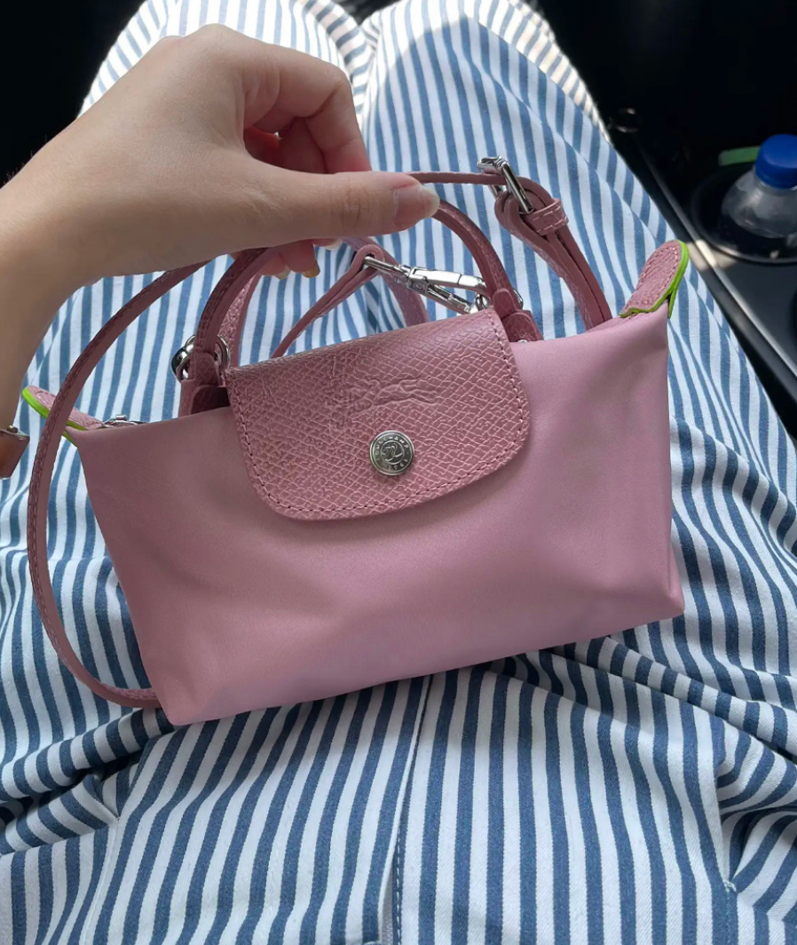 Handle Mini Pouch Bag with Strap, Small Crossbody Shoulder Purse for Women (Pink)